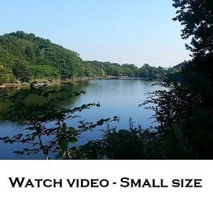 Guest video JCT