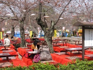 Saved space at cherry blossom
